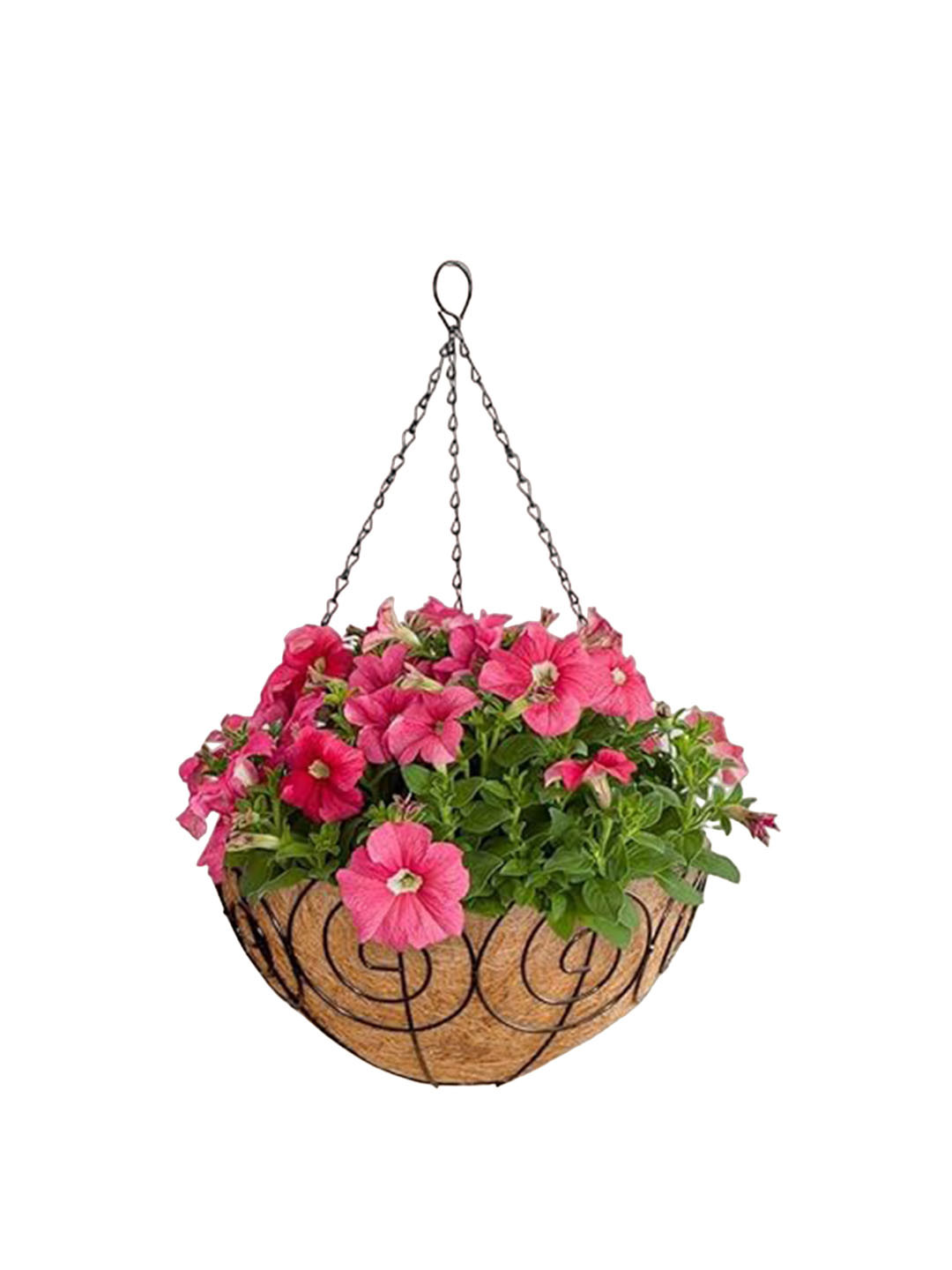 Garden Deco 4 Pcs Black & Brown Coir Hanging Basket Planters With Metal Hanging Chain