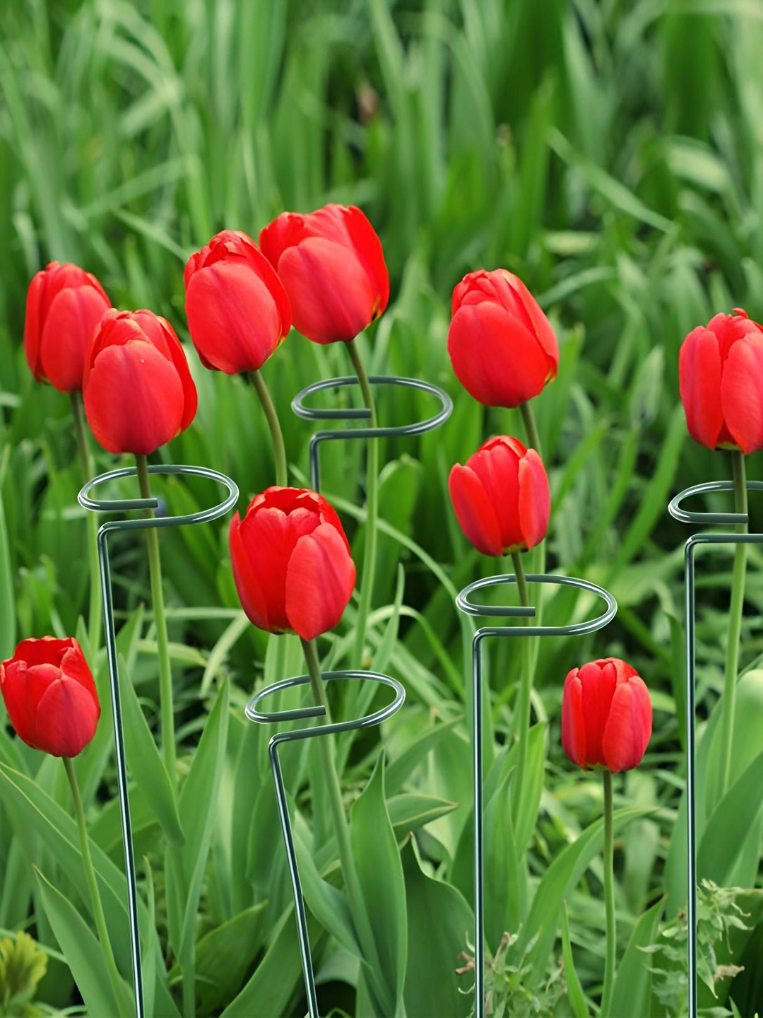 ecofynd Green 3 Pieces Metal Plant Stakes