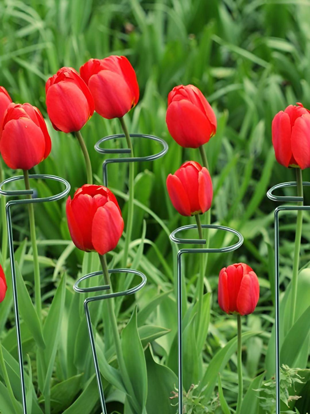 ecofynd Green 5 Pieces Metal Plant Stakes