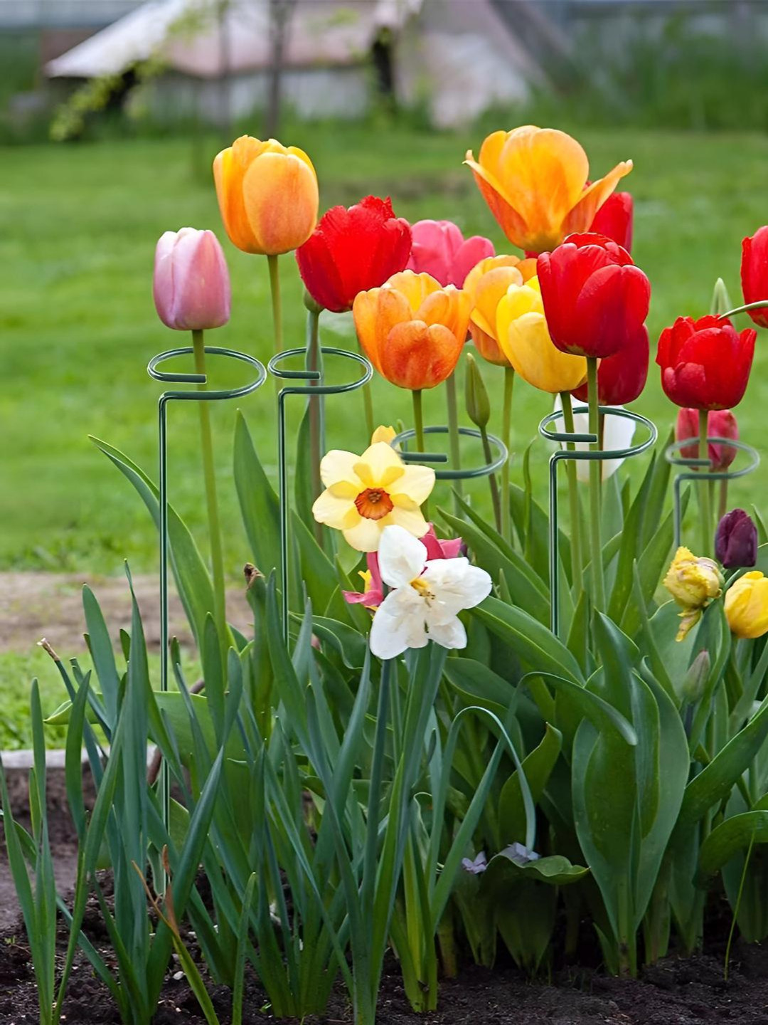 ecofynd Green 5 Pieces Metal Plant Stakes