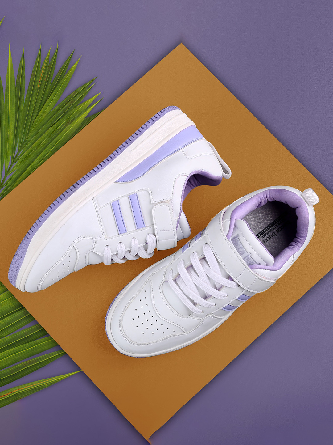 bacca bucci Women PHOENIX Colourblocked Comfort Insole Basics Sneakers