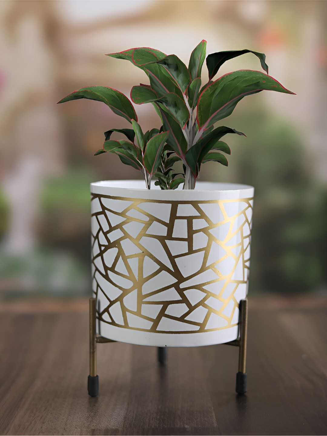 Homspurts White & Gold Toned Metal Printed Planter With Stand