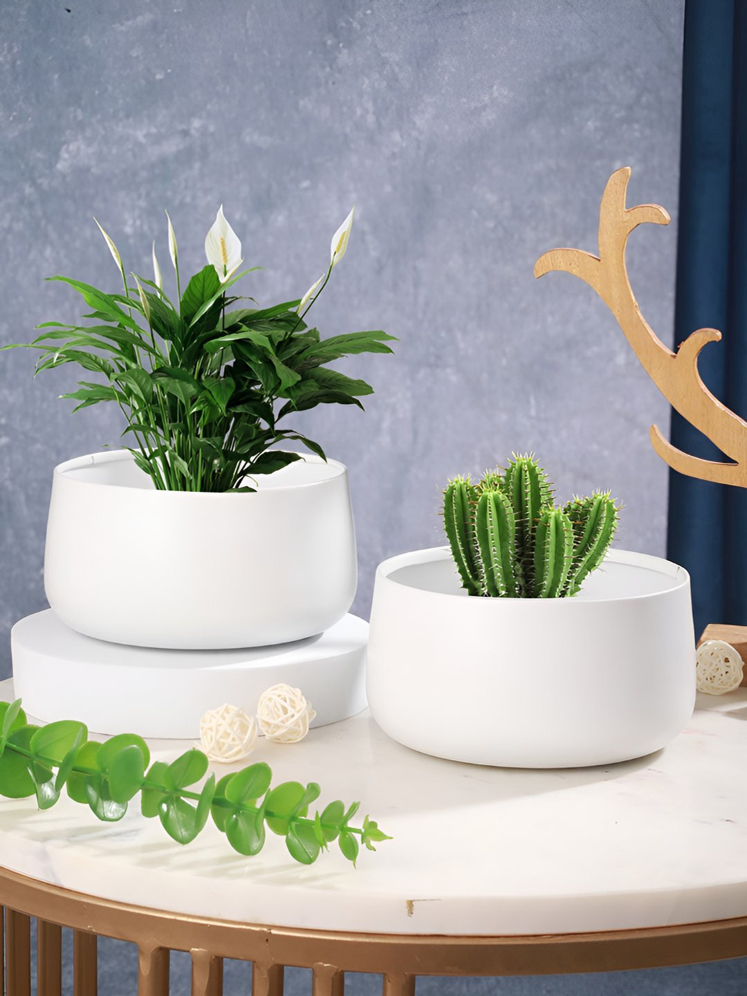 Homspurts Dish White 2 Pieces Metal Planters