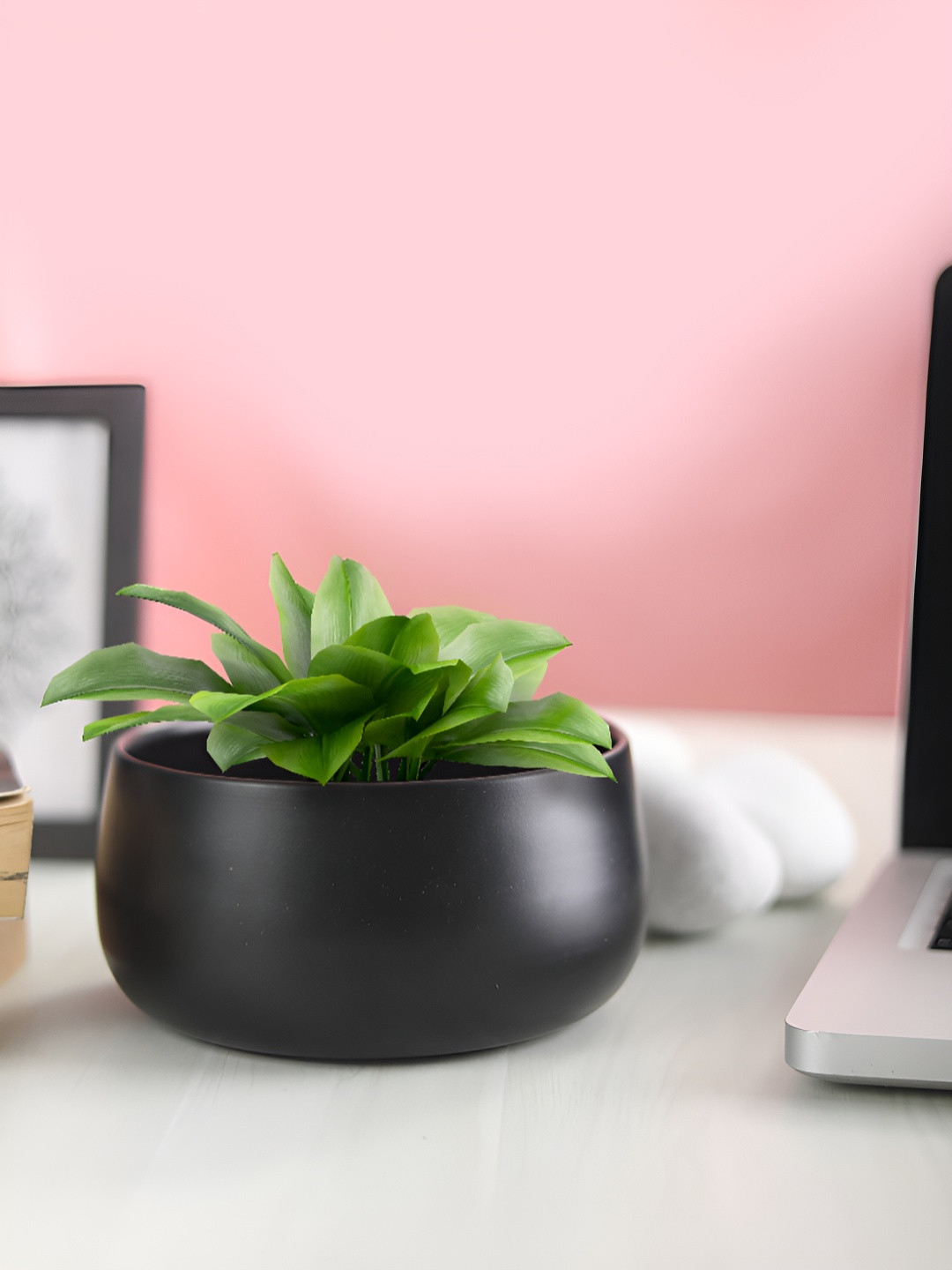 Homspurts Dish Planter Black Powder Coated Metal Planter