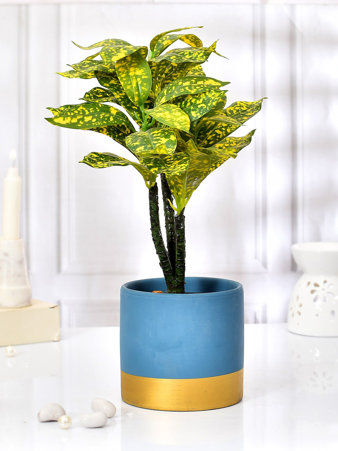 TAYHAA Blue & Gold-toned Colorblocked Ceramic Planter