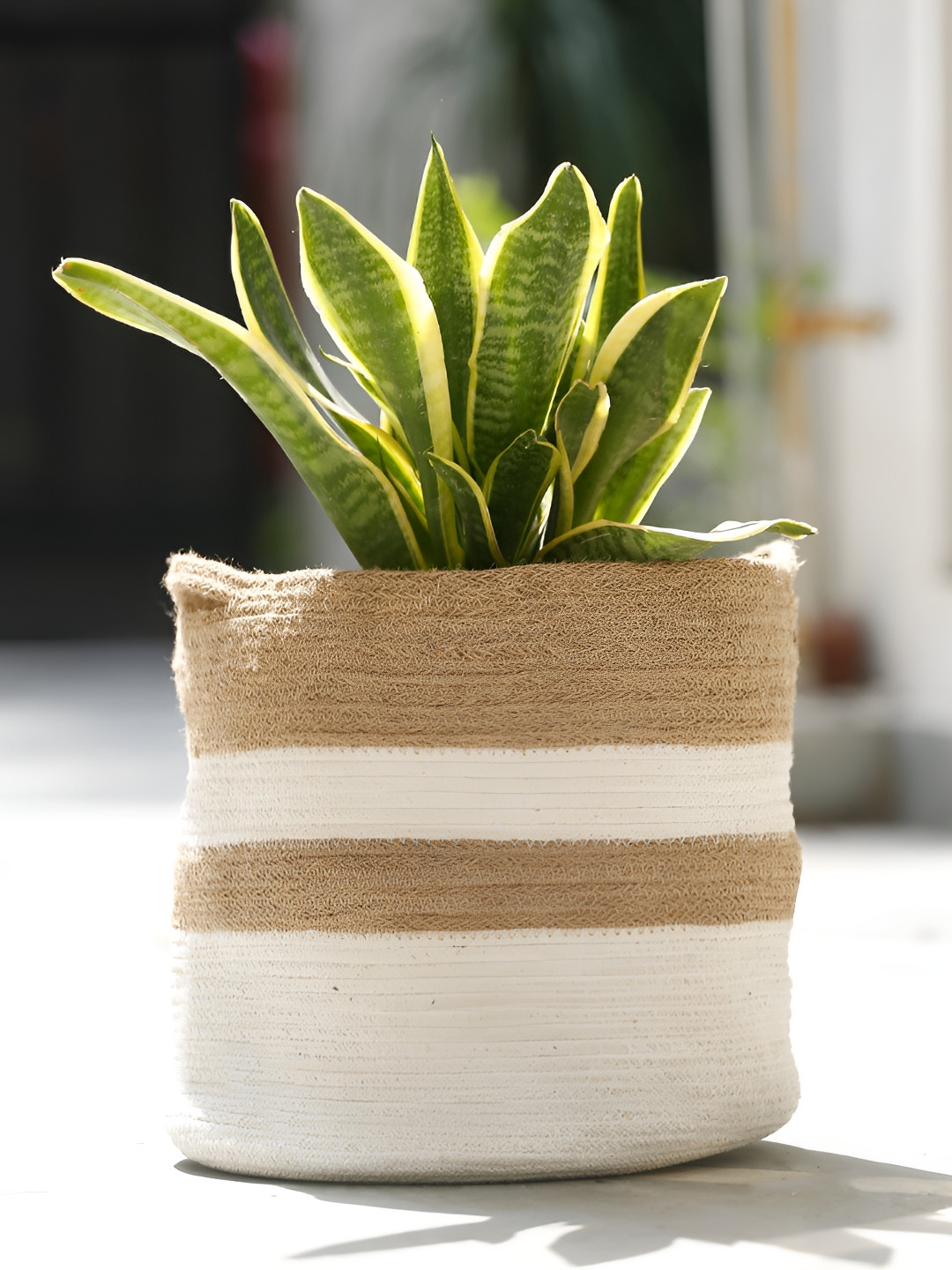 Shilpkara Brown Jute Planter Cotton Dori Storage Basket