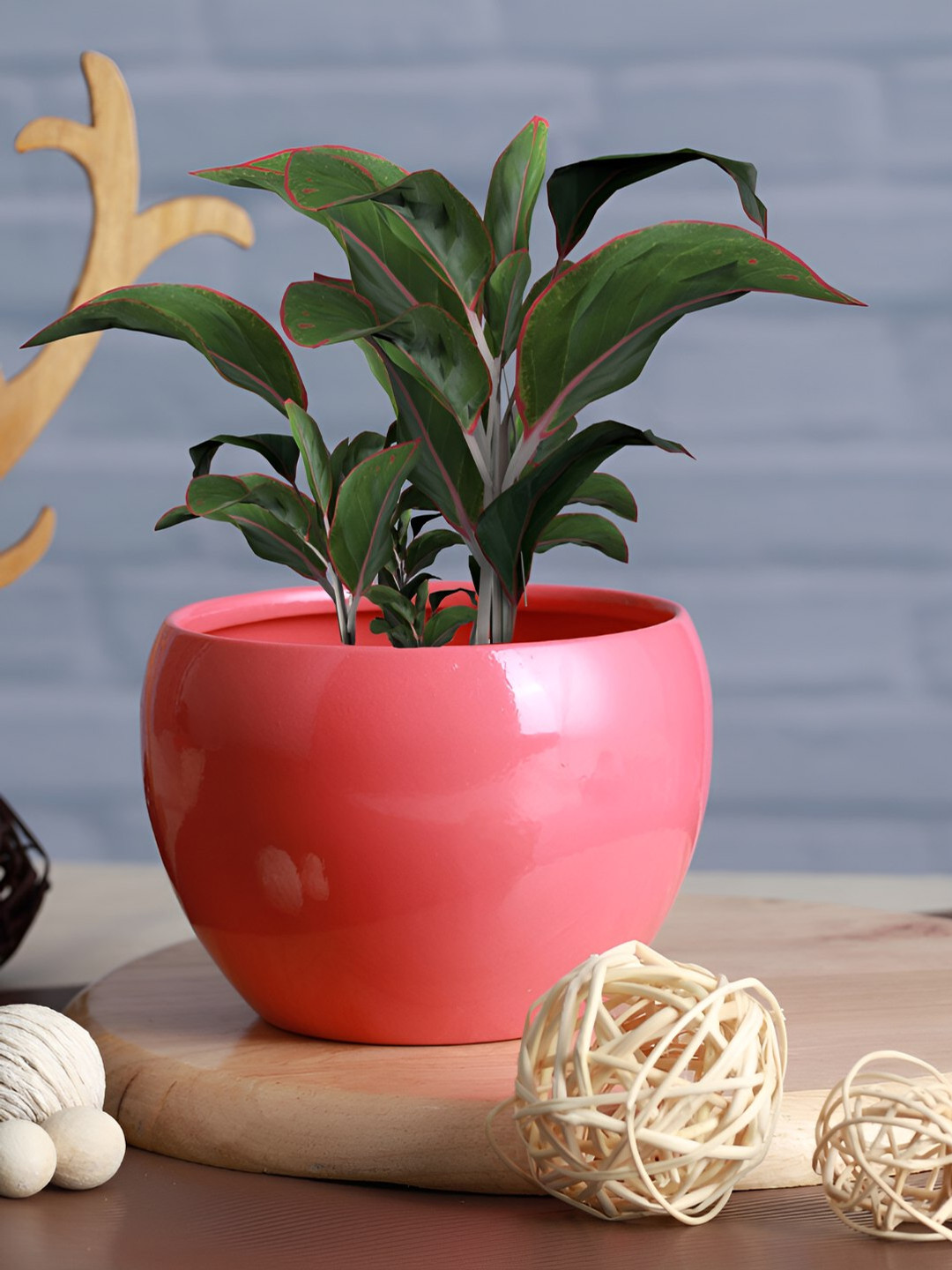Homspurts Pink Apple Bowl Planter