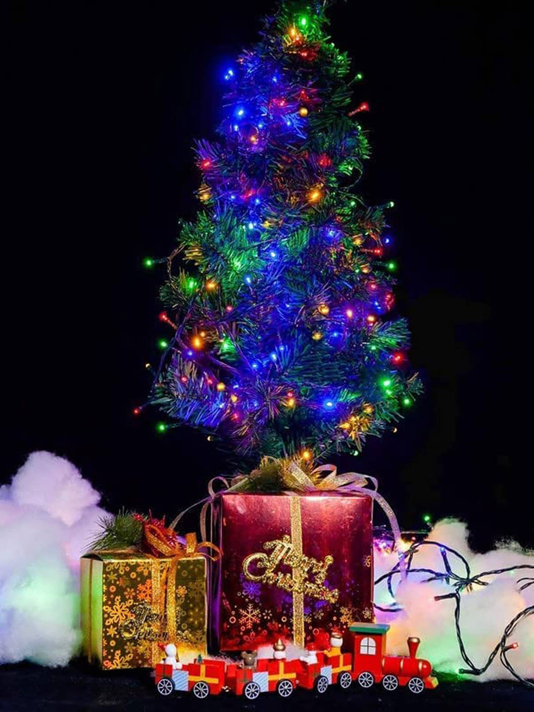 The Purple Tree Black Waterproof Copper Wire String Light