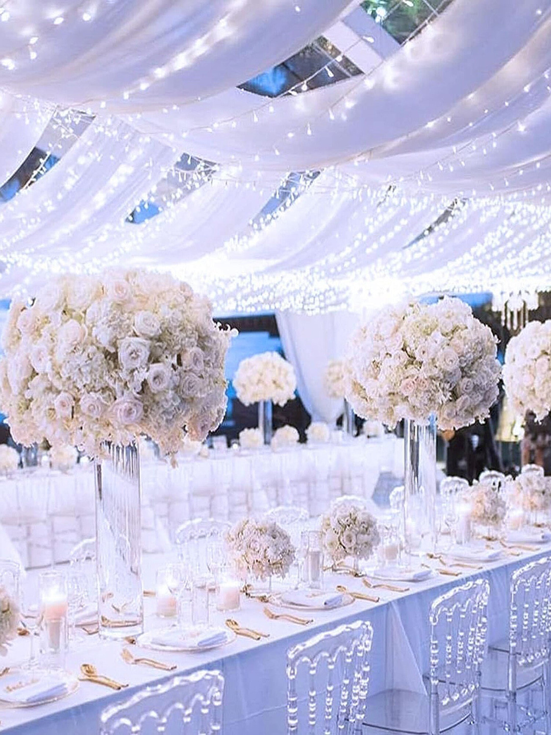 The Purple Tree Decorative Warm White String Lights