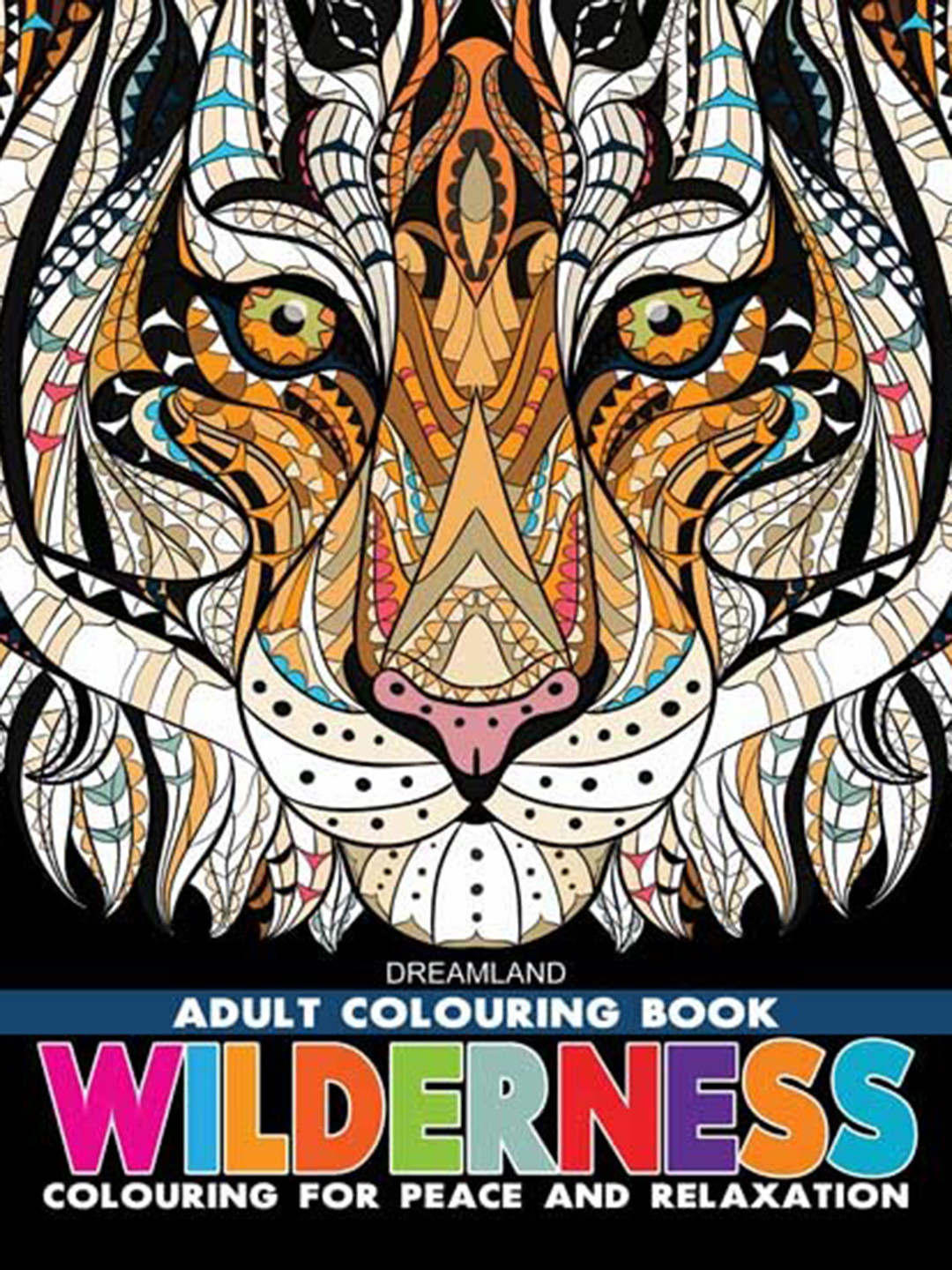 Dreamland Kids Wilderness - Colouring Book
