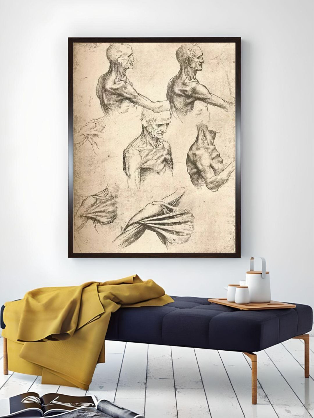 The Art House Beige & Black Wooden Anatomical Drawing Painting Wall Art
