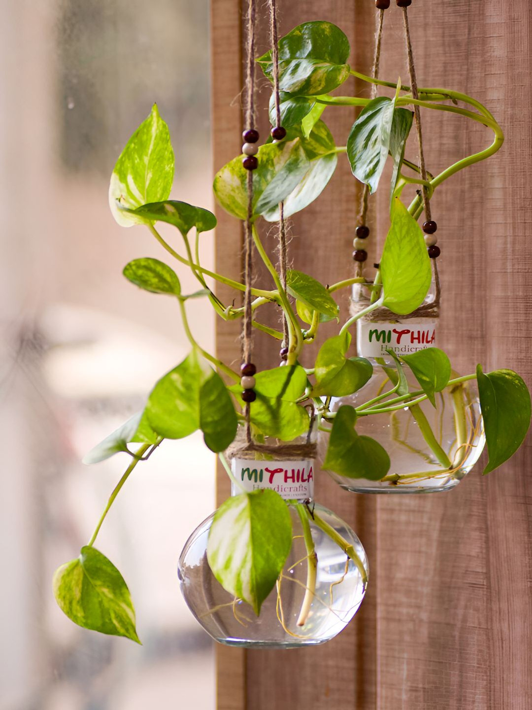 MITHILA Handicrafts Transparent 2 Pieces Hanging Glass Vase