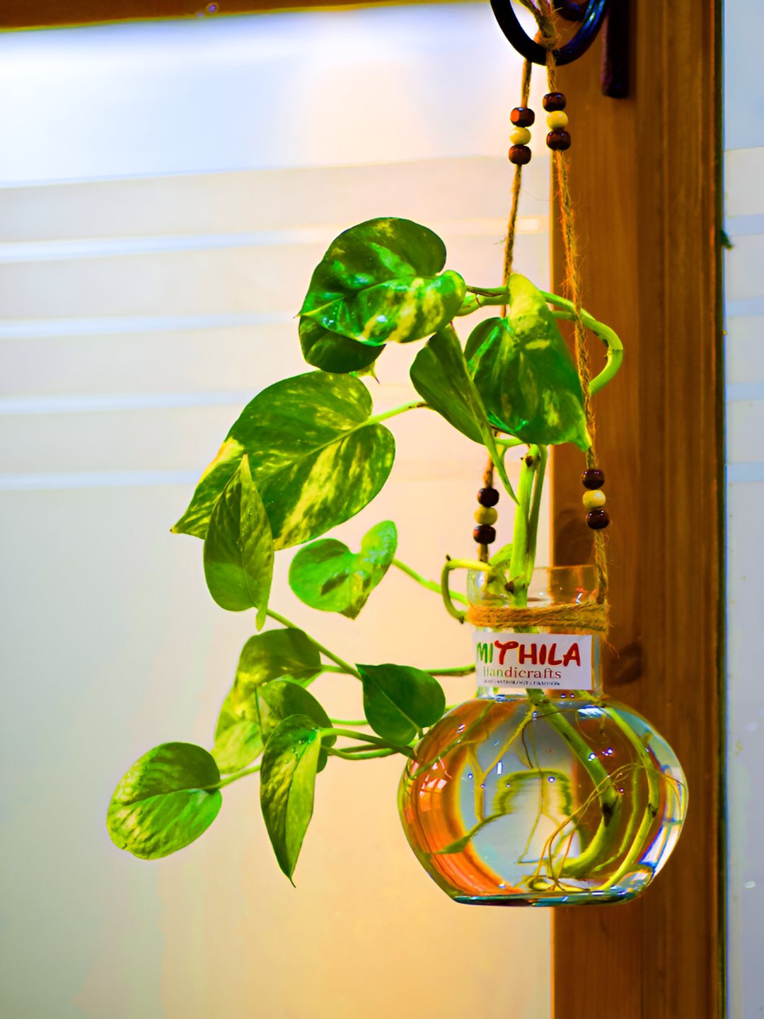 MITHILA Handicrafts 1 Pcs Transparent Hanging Glass Vase