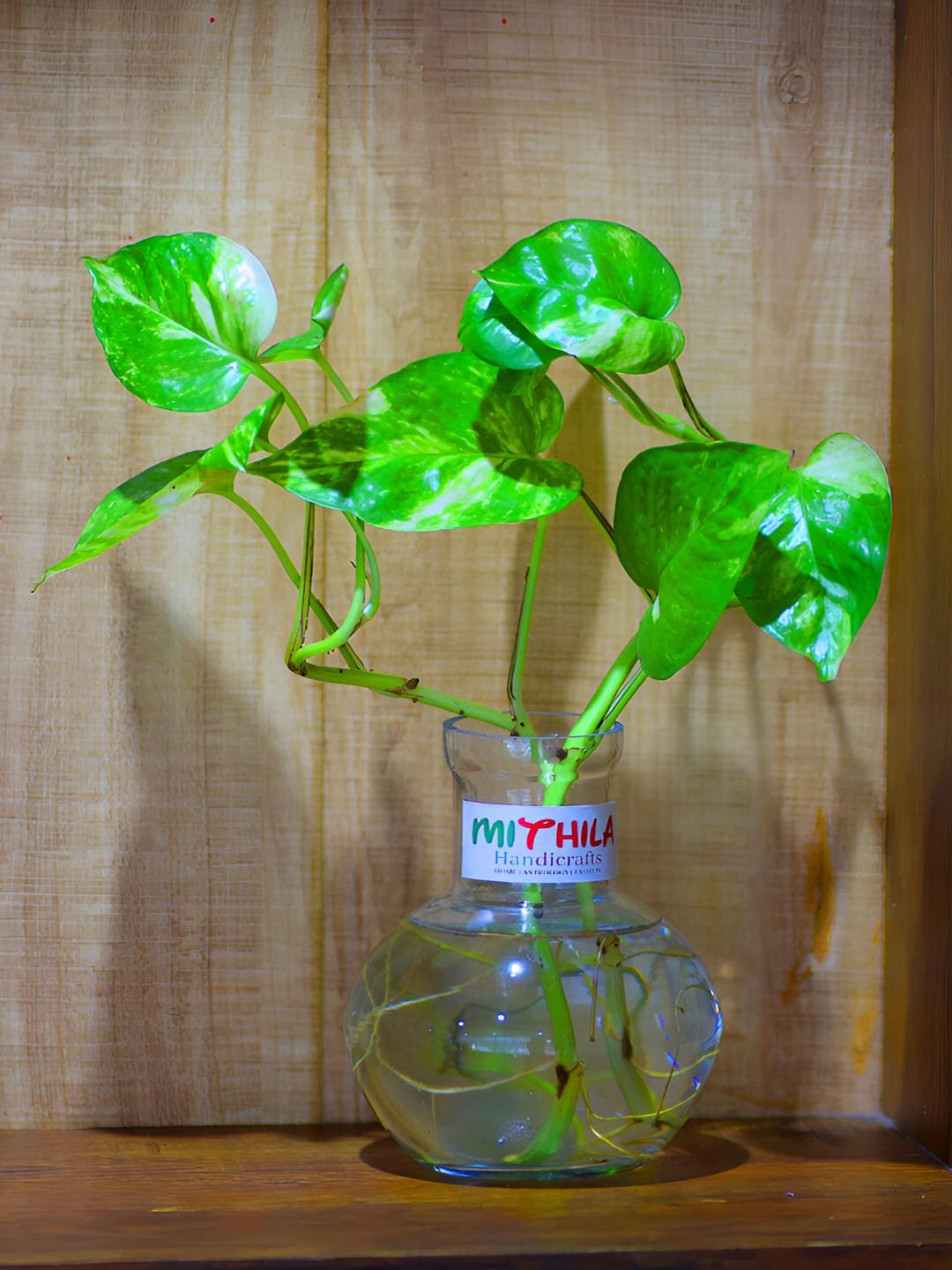 MITHILA Handicrafts Transparent Small Glass Flower Vase