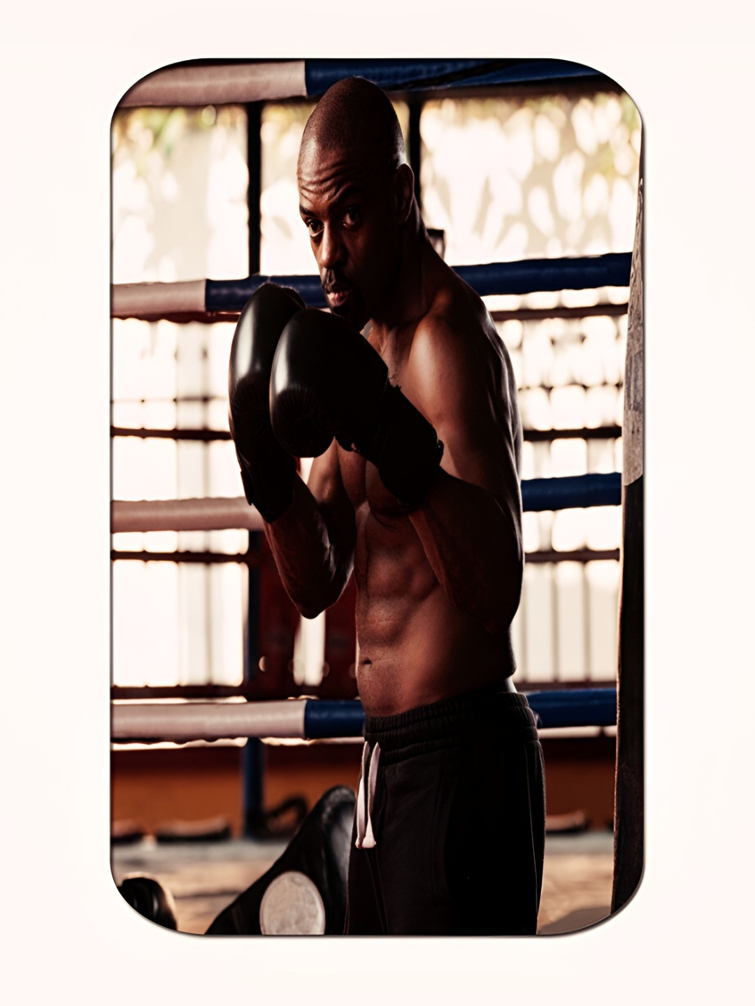 Casperme Brown & Beige Boxer Framed Photographs Wall Art