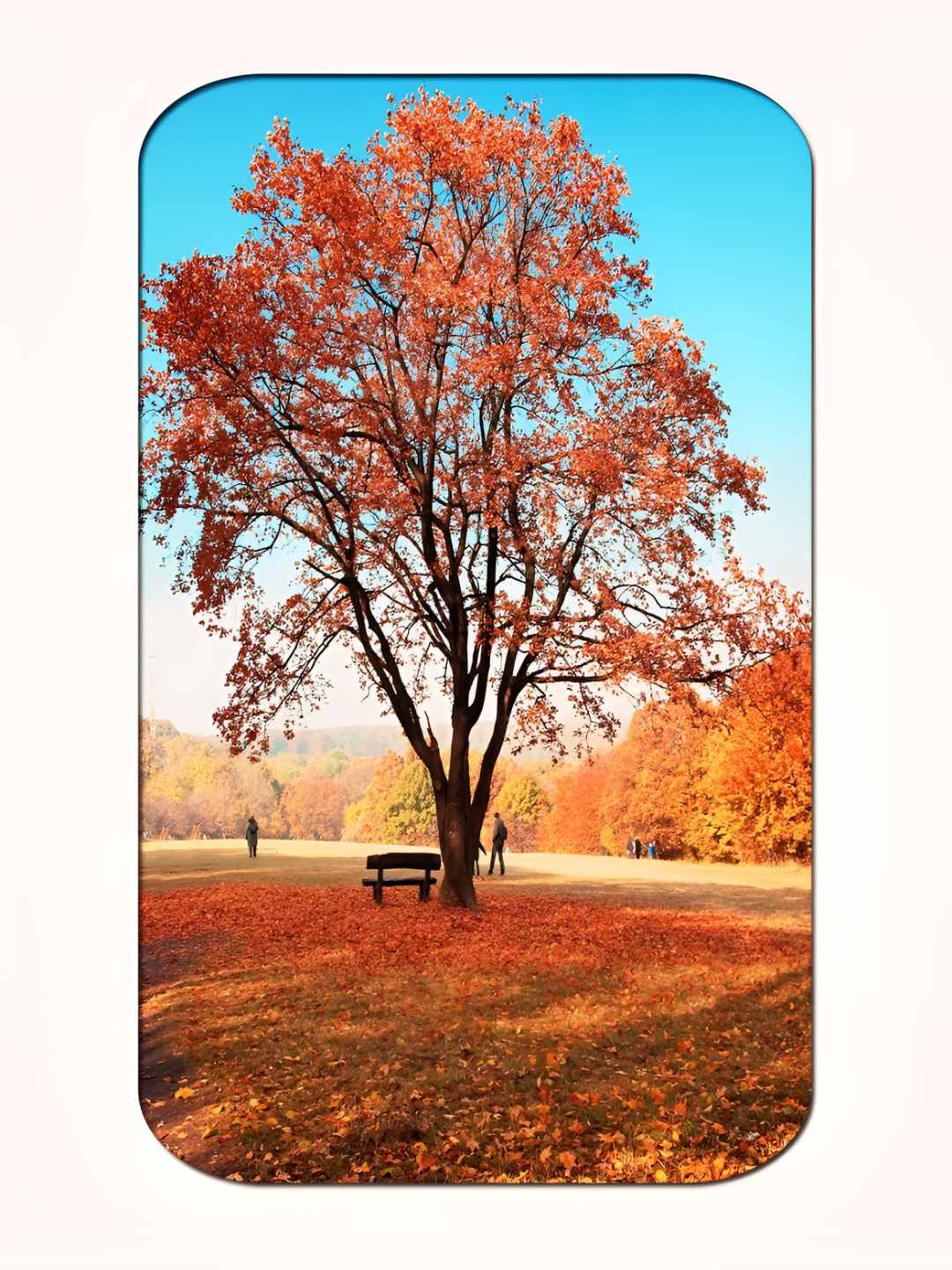 Casperme Blue & Brown Spring Weather Big Frame Wooden Painting Wall Art