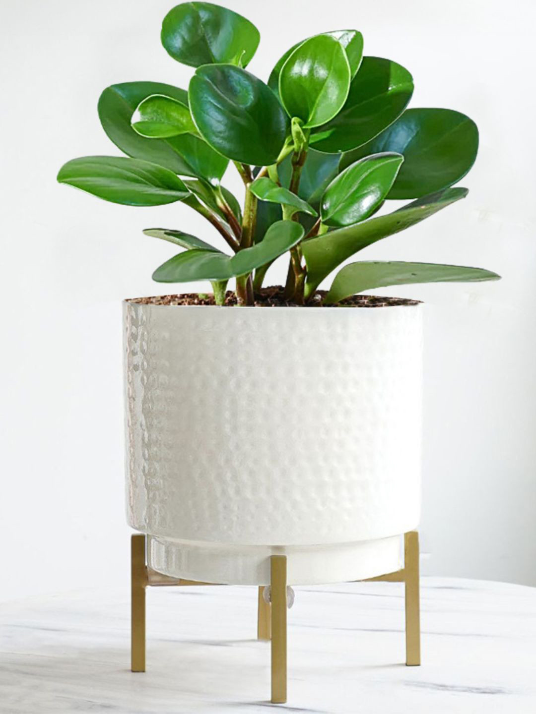 BEHOMA White Toned Medium Hammered Metal Planter With Stand
