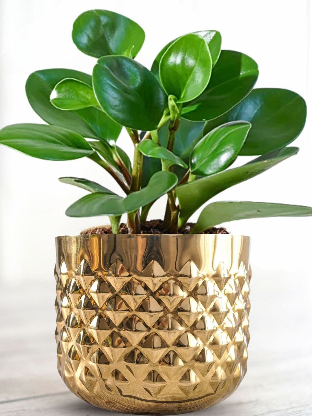 BEHOMA Gold Toned Pineapple Metal Texture Planter Without Plant