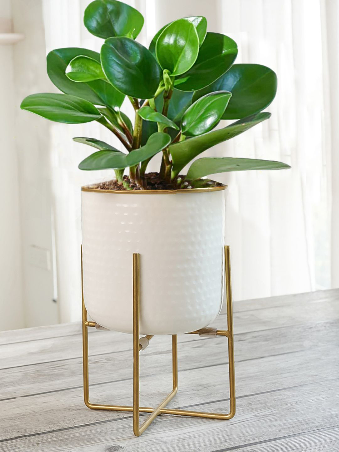 BEHOMA Medium White Hammered Metal Planter With Stand