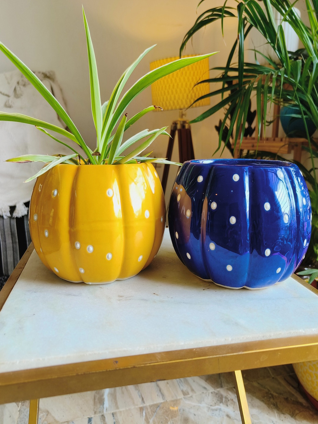 NIYARA Blue & Yellow 2 Pieces Printed Pumpkin Ceramic Planters