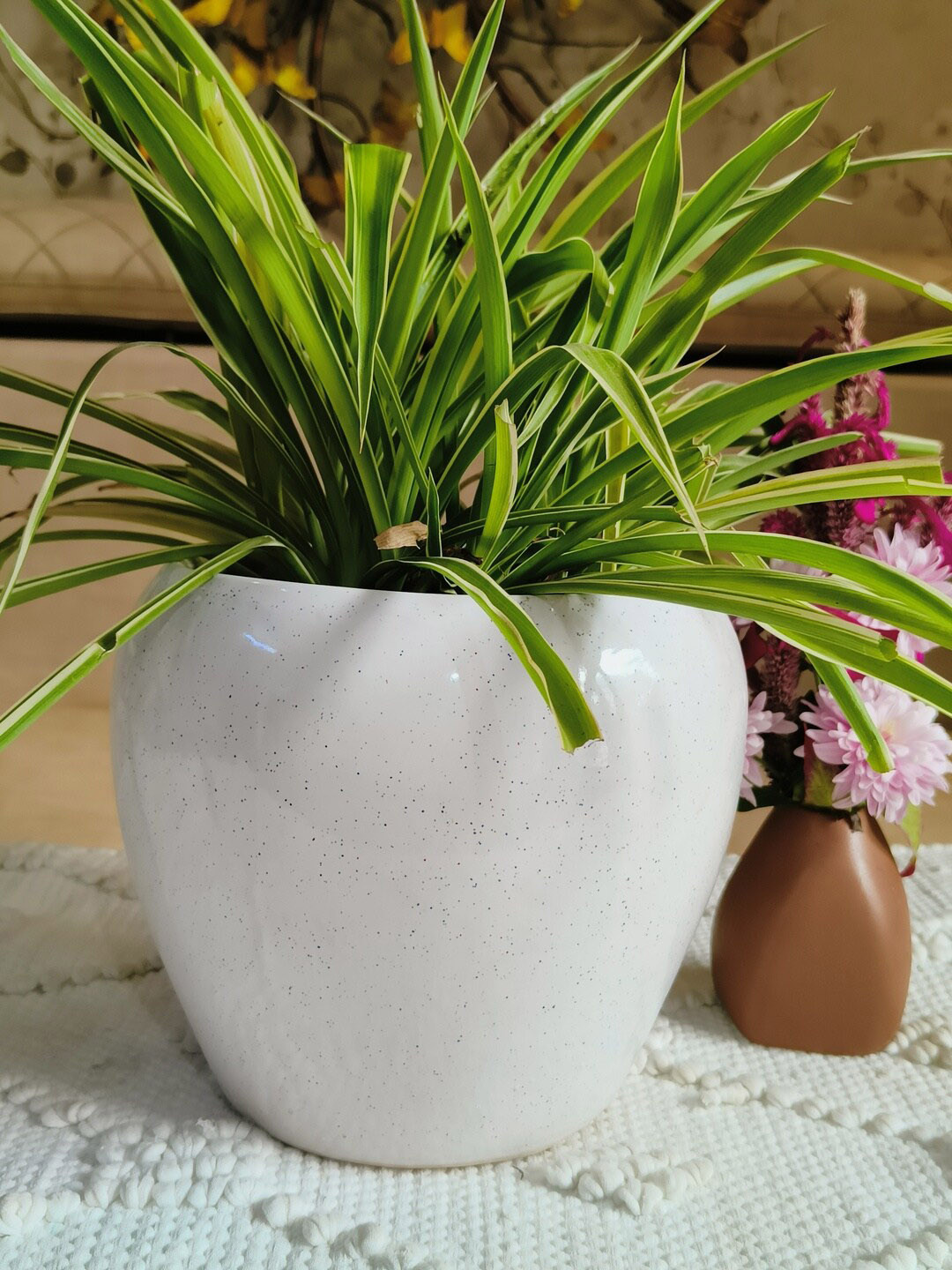 NIYARA White Ceramic Apple Shaped Planters