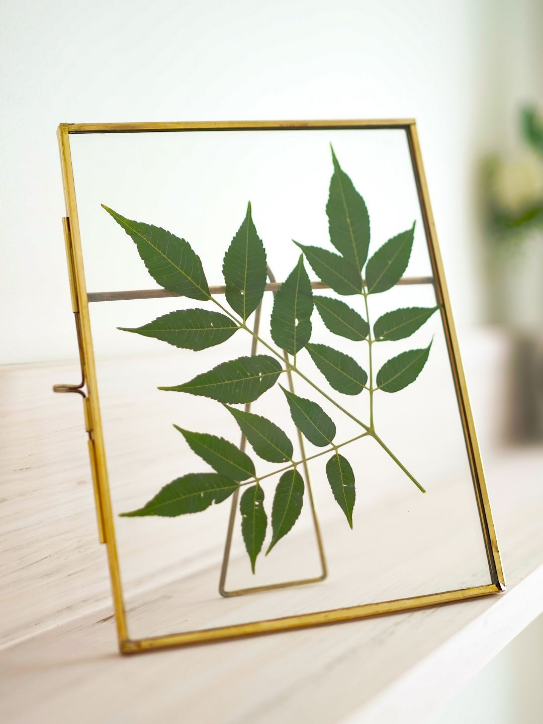 BEHOMA Gold-Toned Glass & Brass Table-top 5x7 Clear Frame