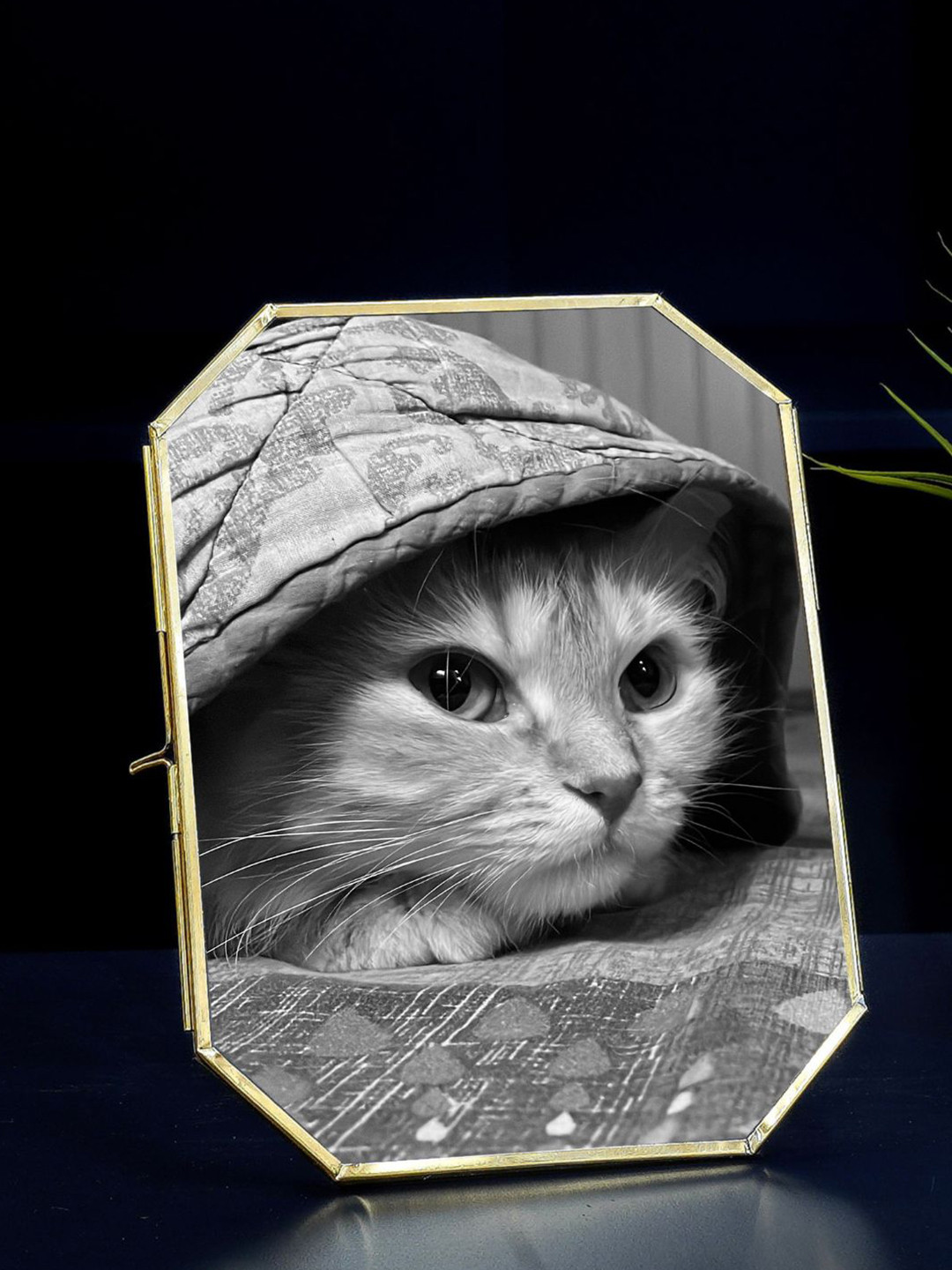 BEHOMA Gold-Toned Octagon Shape Glass & Brass Table-top 6x8 Clear Frame