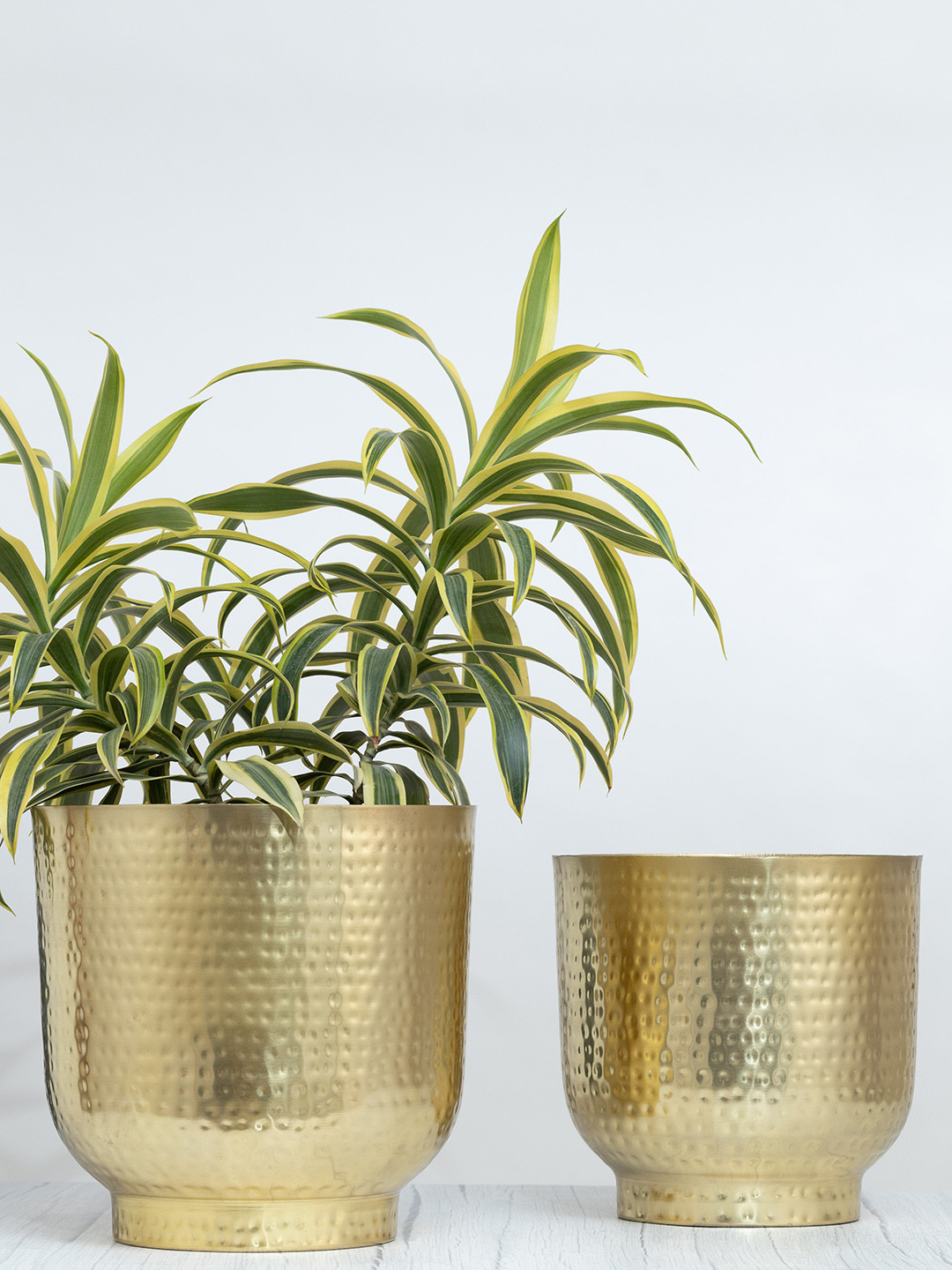 HomeShastra Mist Gold 2Pieces Hammered Iron Planters