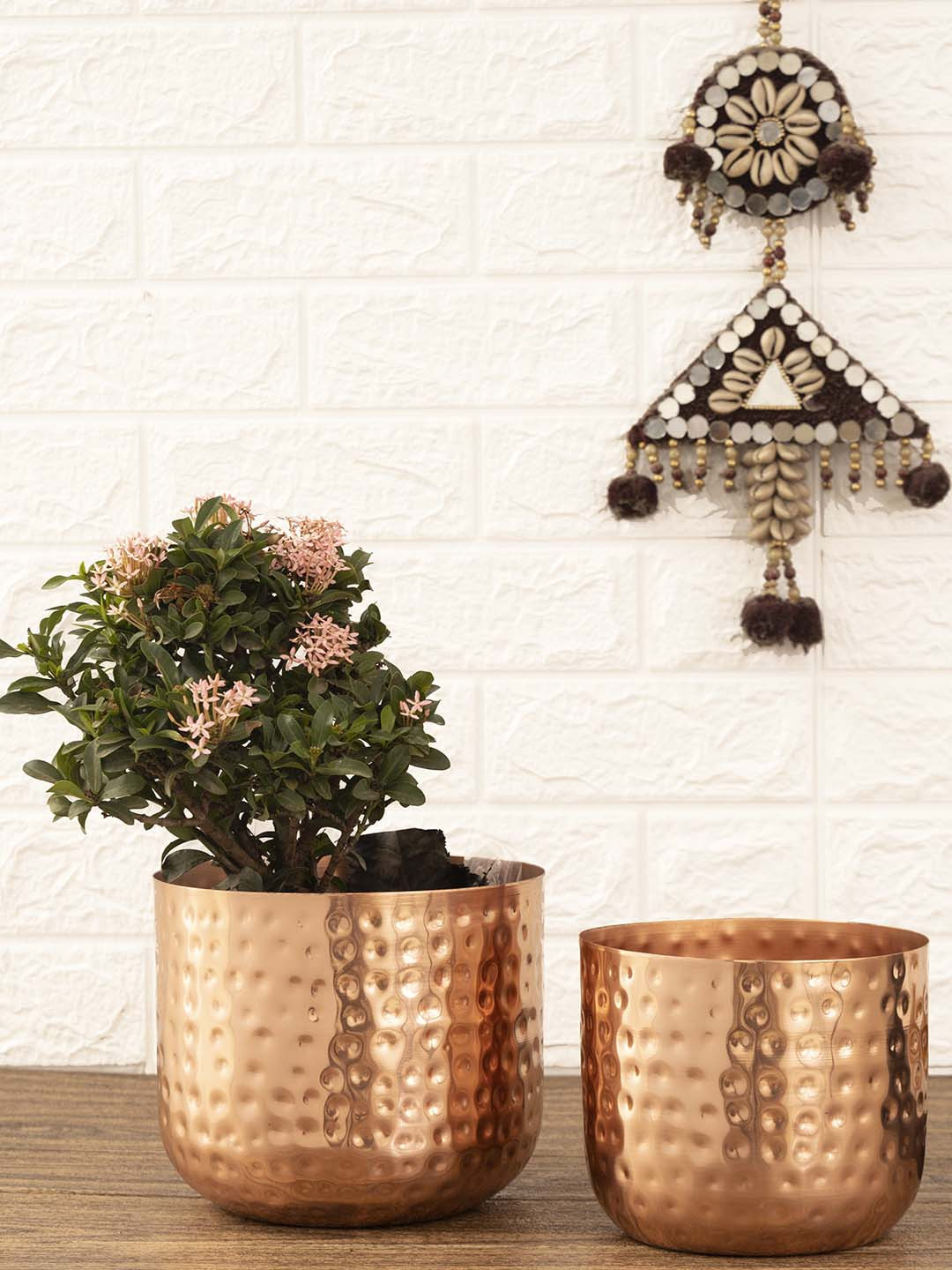 HomeShastra Luxe Rose Gold Toned 2 Pieces Metal Planters