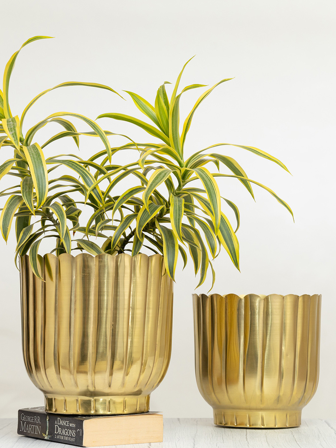 HomeShastra Coral Gold 1 PiecesHammered Metal Planter