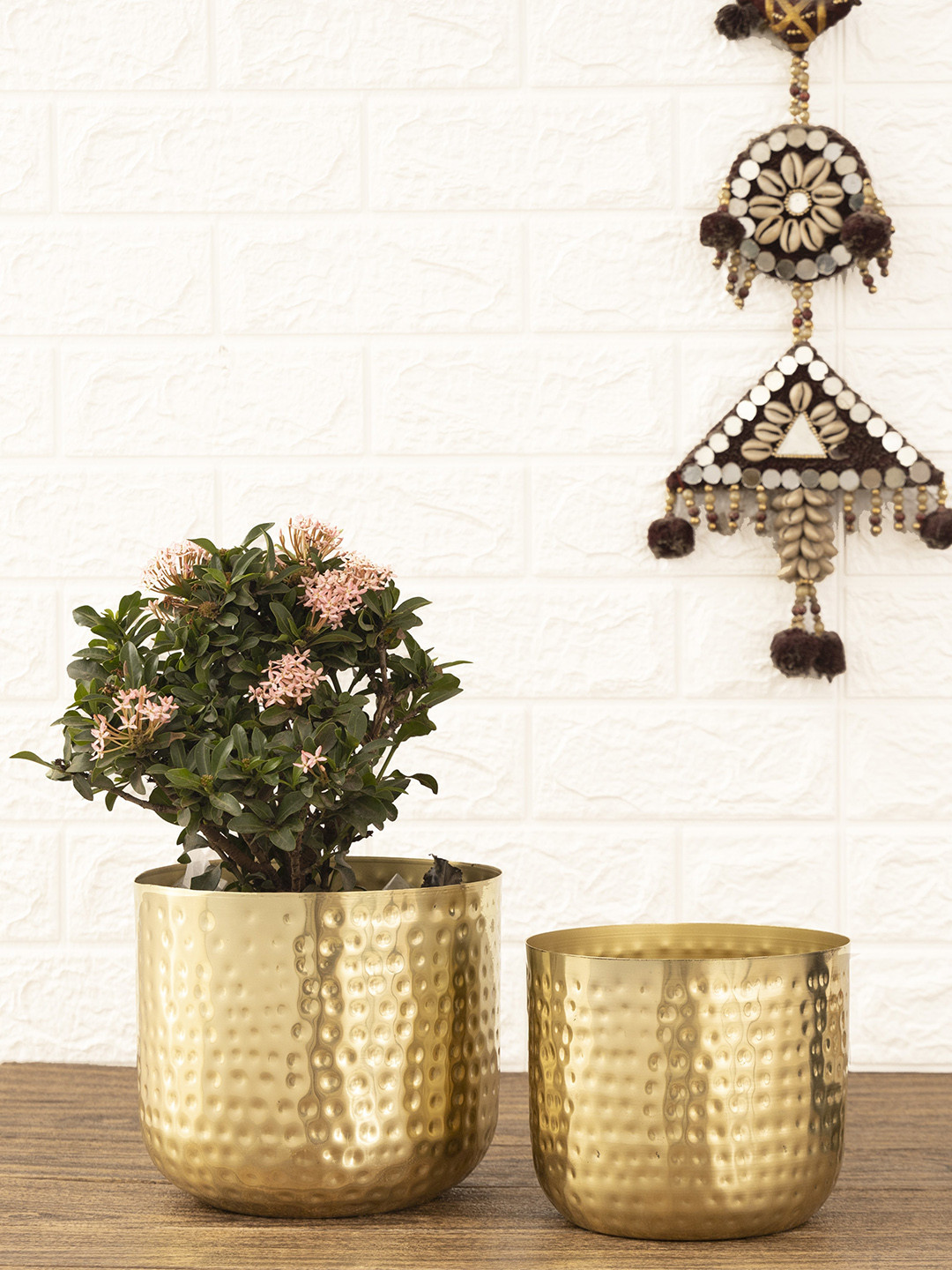 HomeShastra Luxe Gold Toned 2 Pieces Iron Planters
