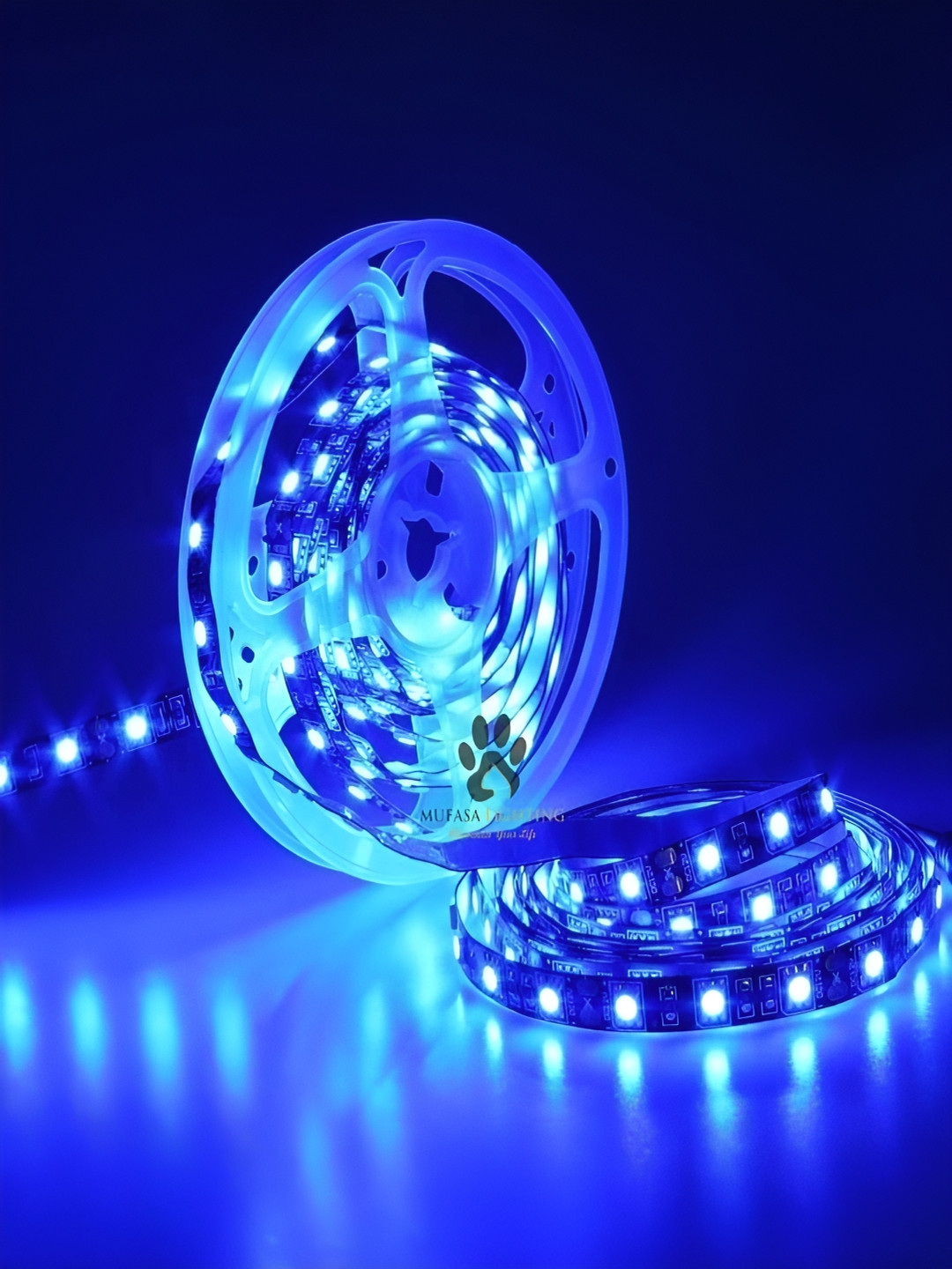 Mufasa Blue 12V DC Rice Adapter String Lights 5m
