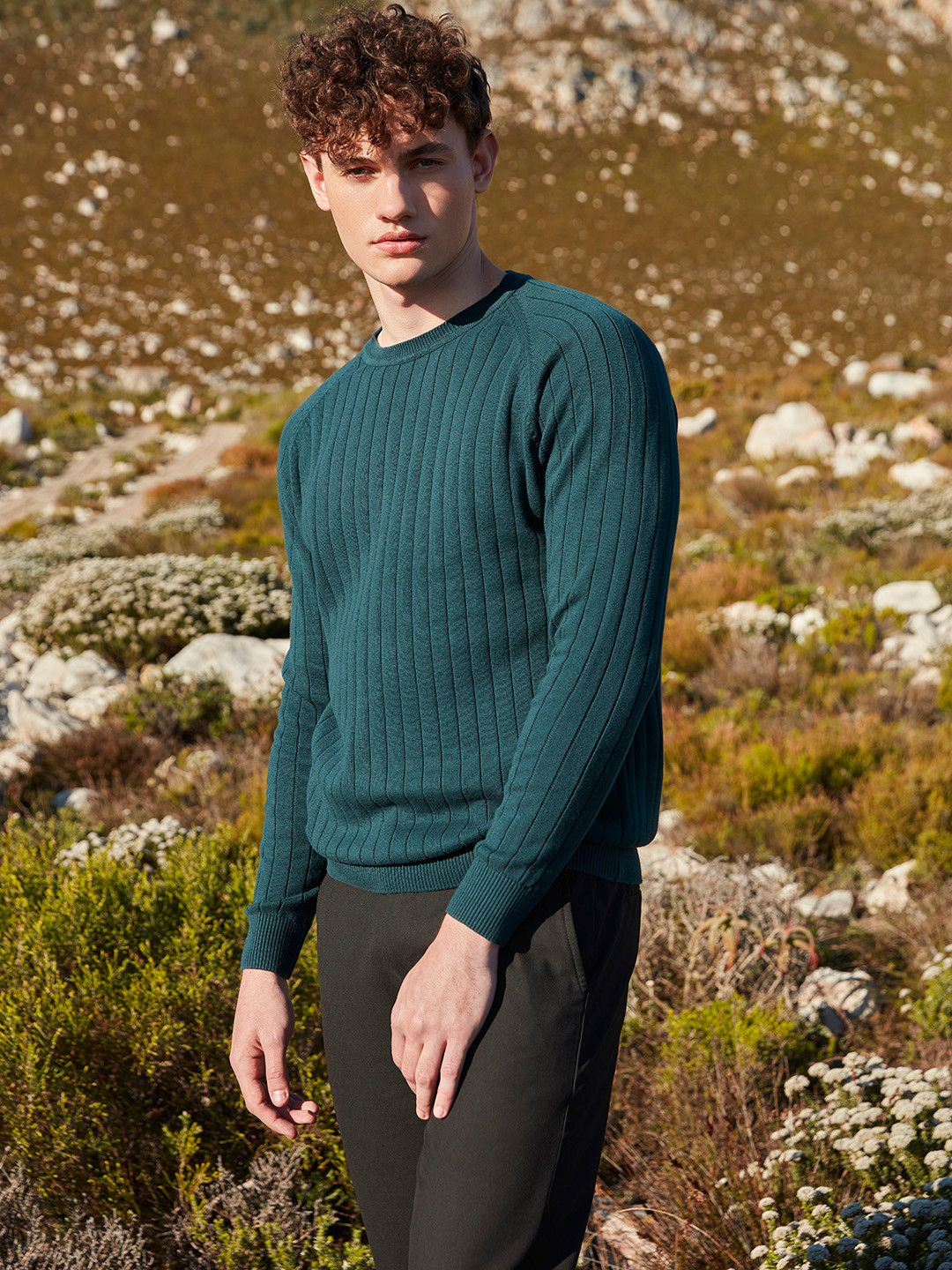 Mufti Striped Self Designed Slim Fit Long Sleeves Flat Knit Pure Cotton T-shirt