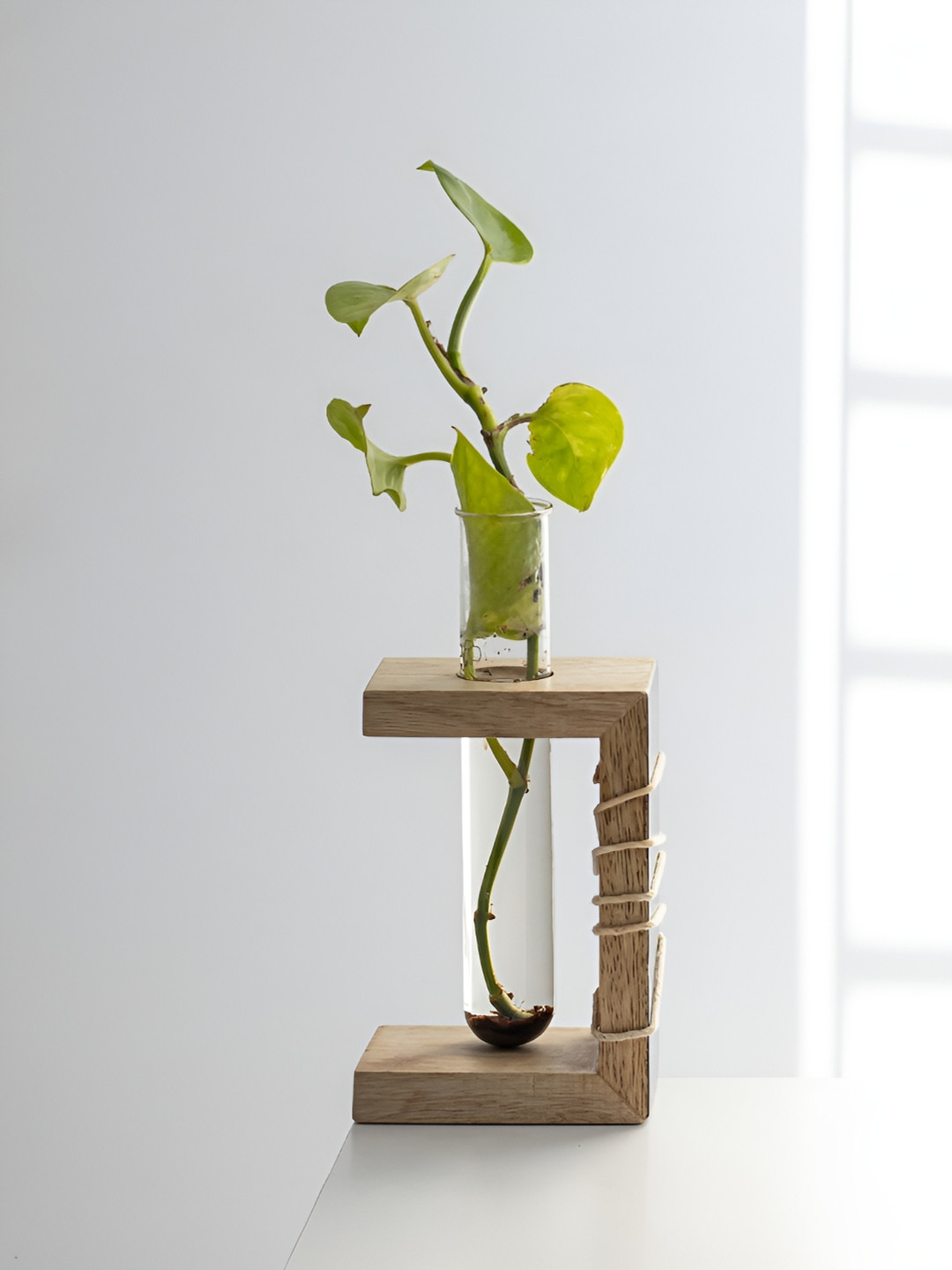 Mirai Woods Black & Brown Mango Wood Test Tube Planter