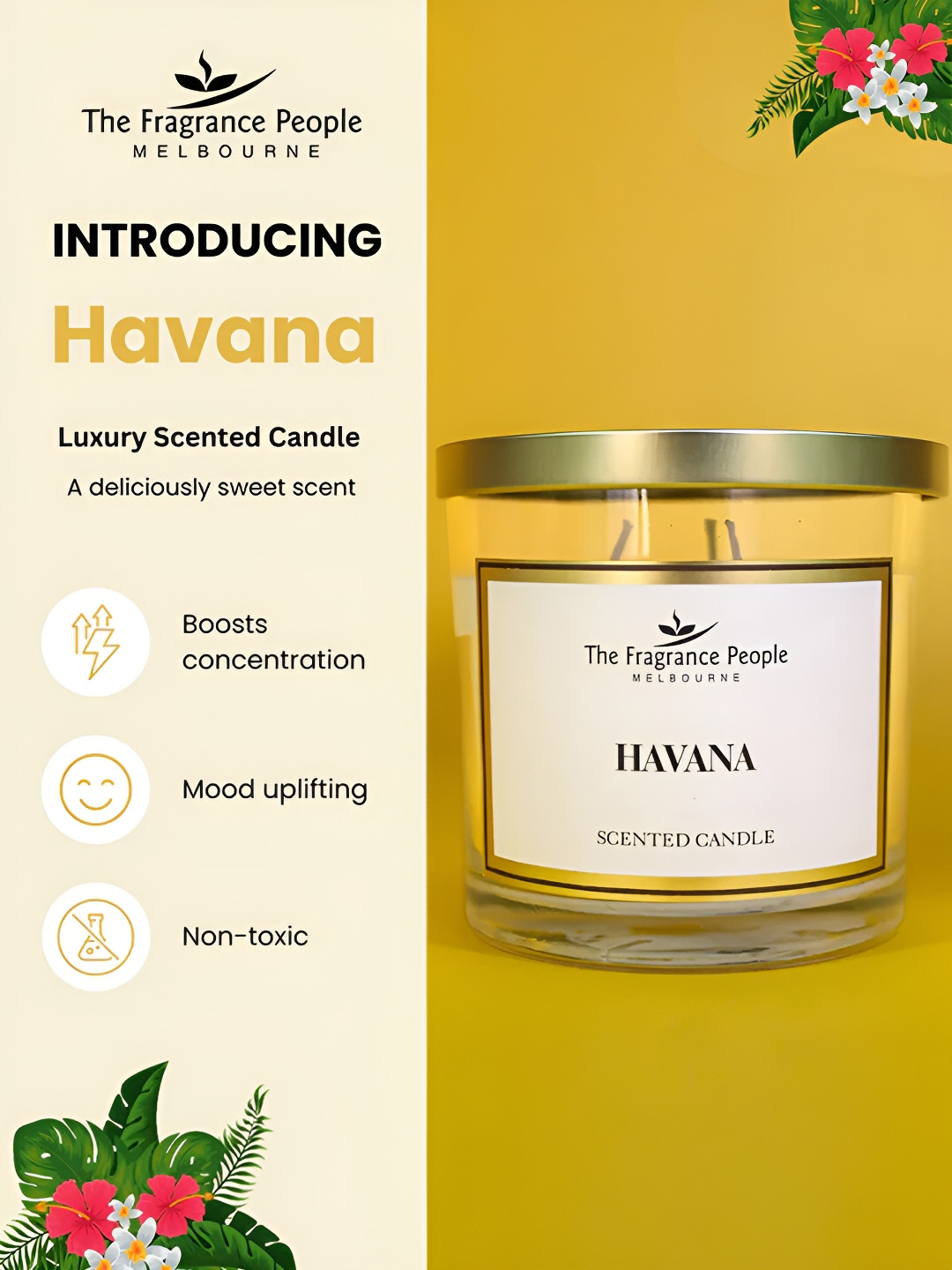 The Better Home Hyacinth Scented 3 Wick Havana Solid Geometric Regular Jar Candles