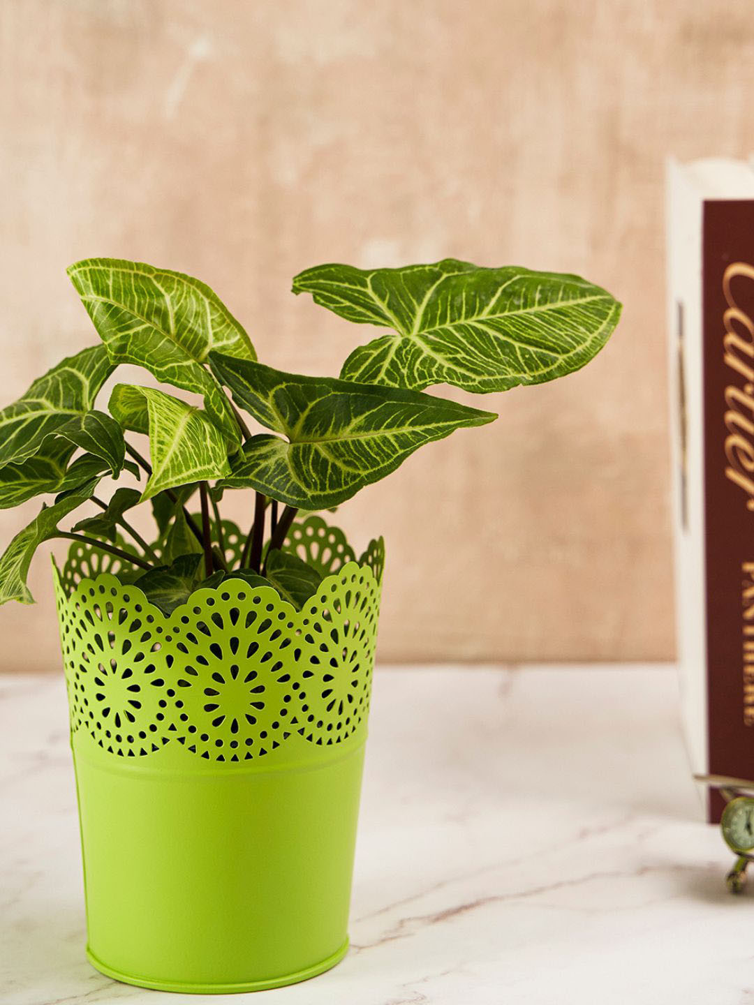 DecorTwist Textured Metal Planter