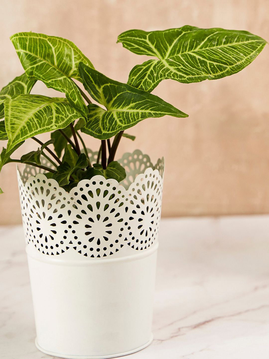 DecorTwist White Metal Planter
