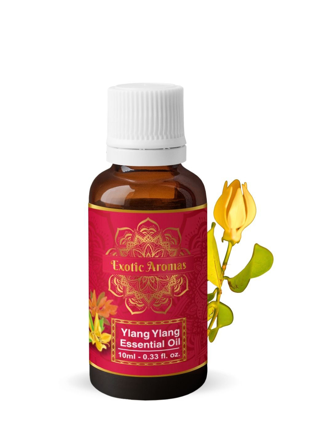 EXOTIC AROMAS Ylang-Ylang Essential Oil For Aromatherapy Skin & Hair - 10ml