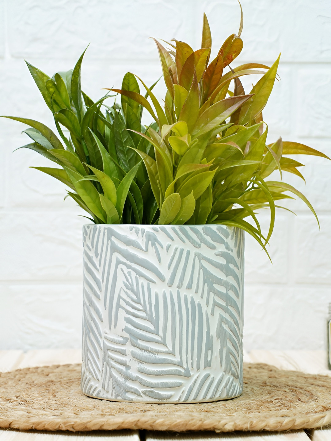 GOLD DUST Green Ceramic Planter