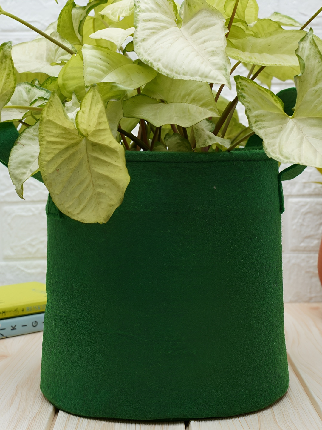 GOLD DUST Green 3 Pieces Jute Planters