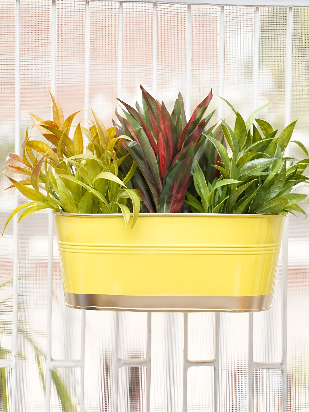 GOLD DUST Yellow 4 Pieces Metal Railing Planters