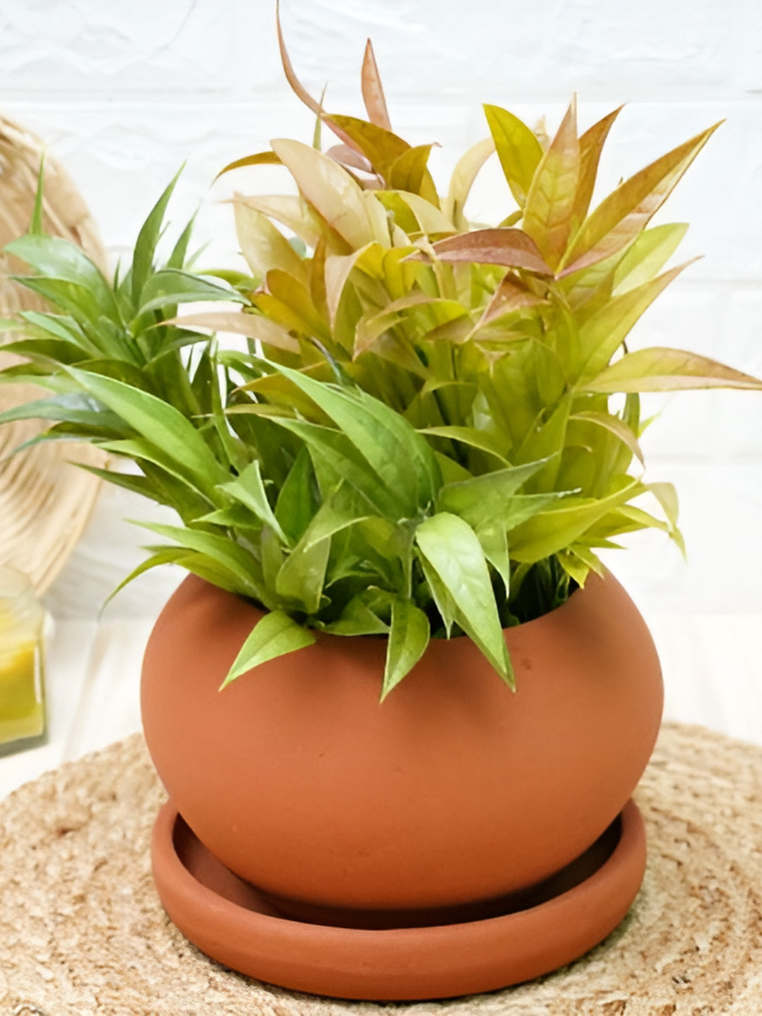 GOLD DUST Brown Kepler Terracotta Clay Planter