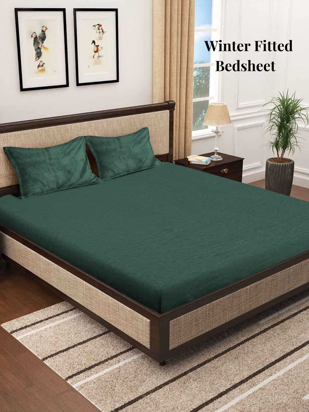 Arrabi Green Solid Cotton 250 TC Fitted King Fine Bedsheet with 2 Pillow Covers-235 x 215 cm