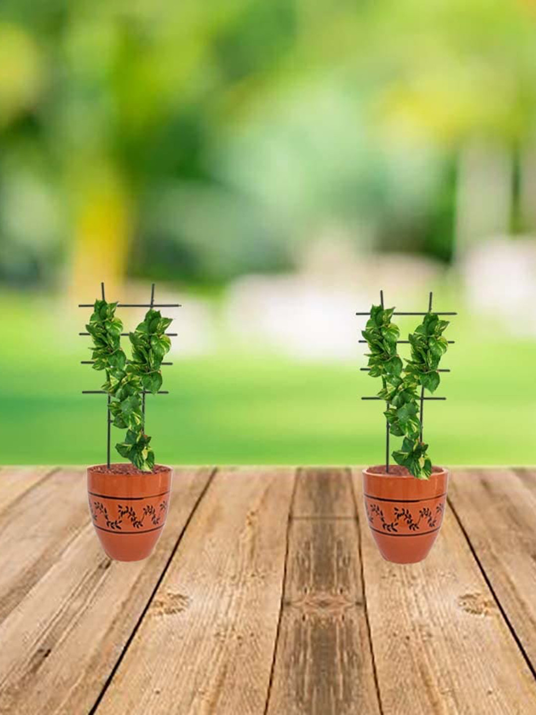 Garden Deco 2 Pieces Green Plant Supporters / Trellis