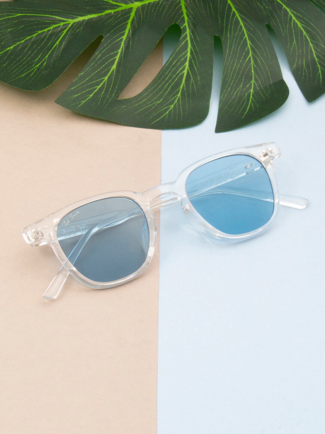 Ted Smith Unisex Wayfarer Sunglasses with UV Protected Lens OPAL_C9