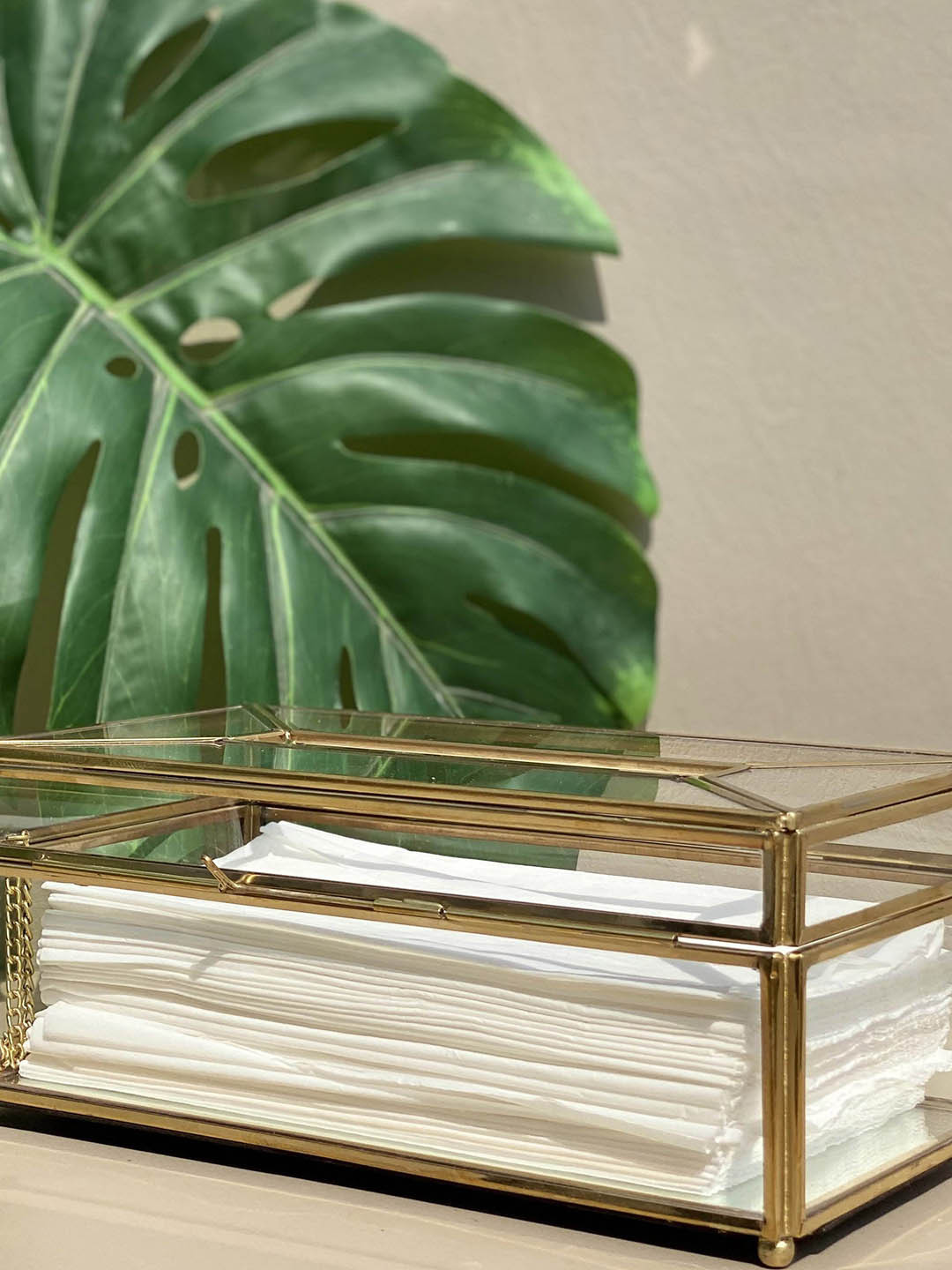 Mason Home Transparent & Gold-Toned Tissue Holder