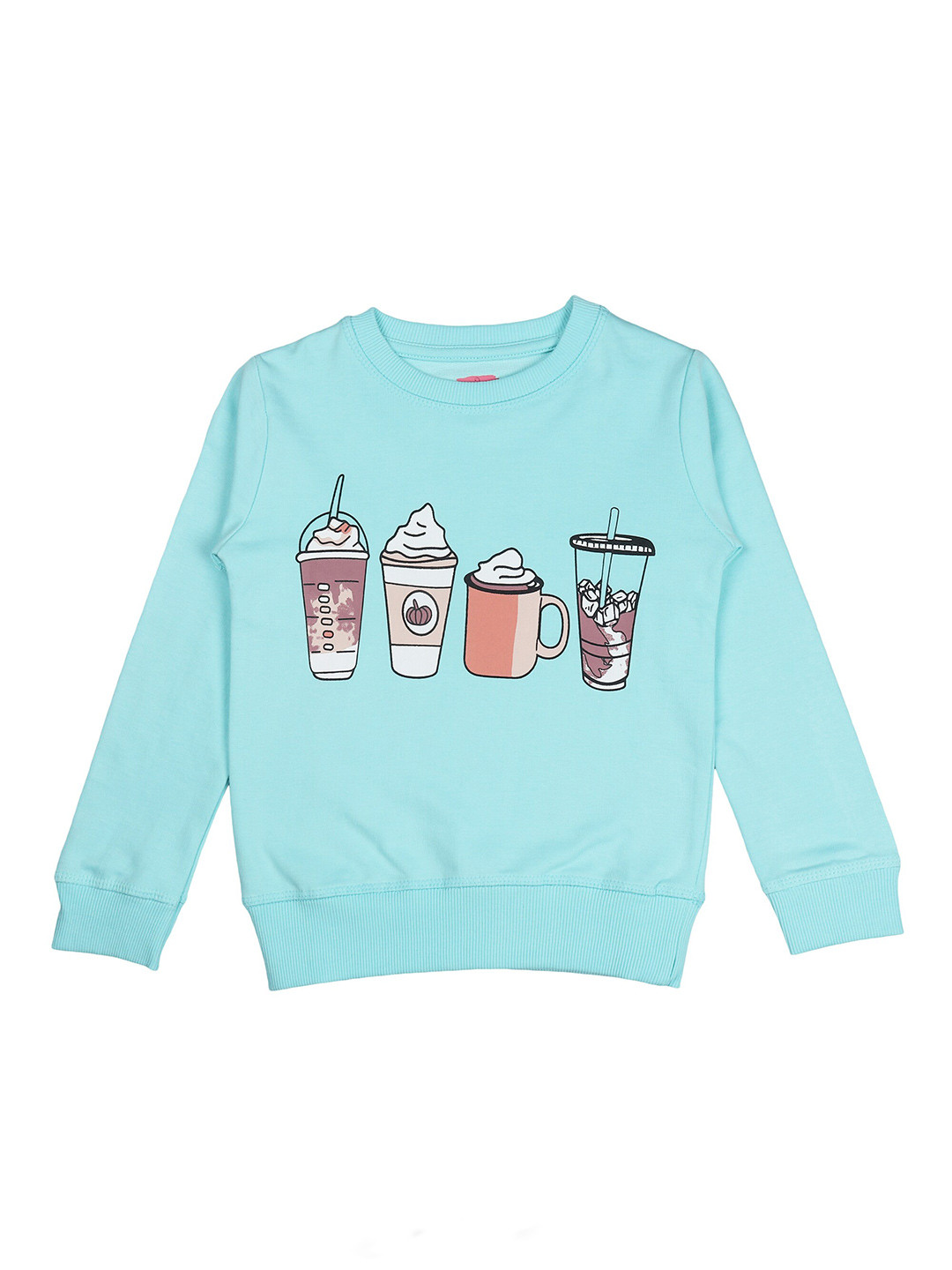 BAESD Girls Graphic Printed Terry Cotton Pullover Sweatshirt