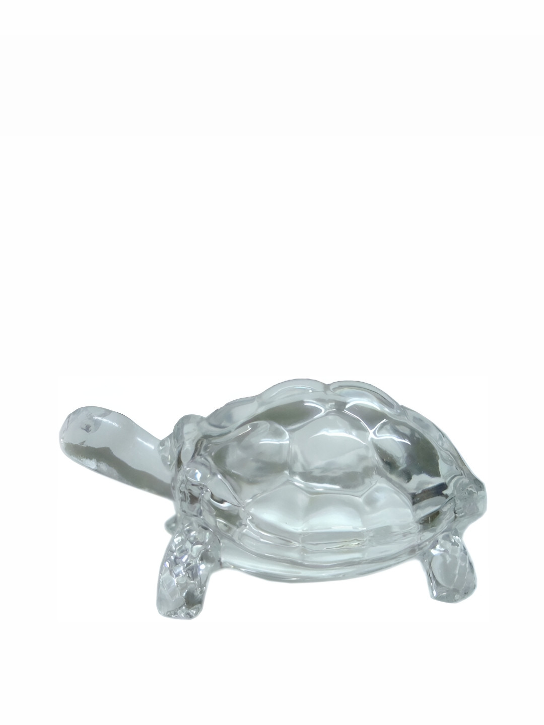 Navyaksh Turtle with Bowl Plate Transparent Glass Glossy Living Room Small Showpiece - 4.3 Inches