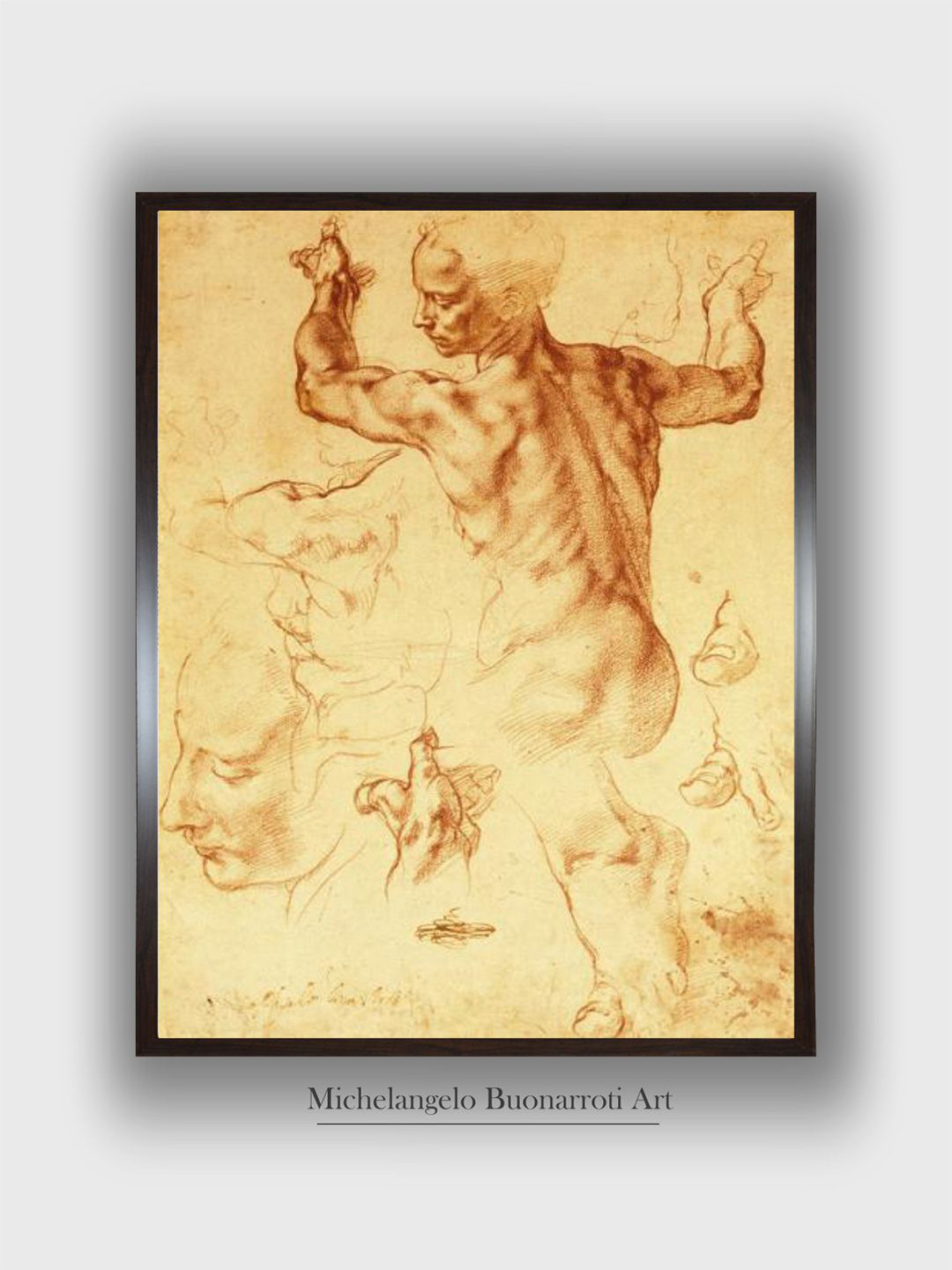 The Art House Black Anatomy Sketches Wooden Framed Painting Wall Art