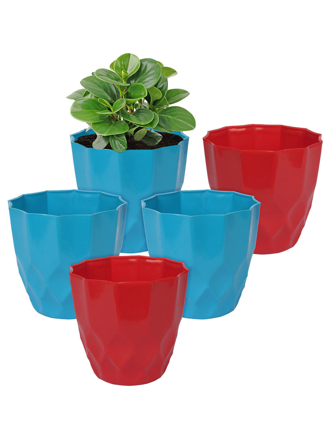 Kuber Industries Blue & Red 5 Pcs Flower Planters